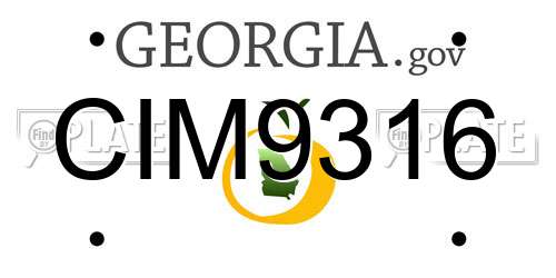 CIM9316 Georgia License Plate