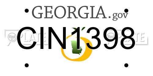 CIN1398 Georgia License Plate