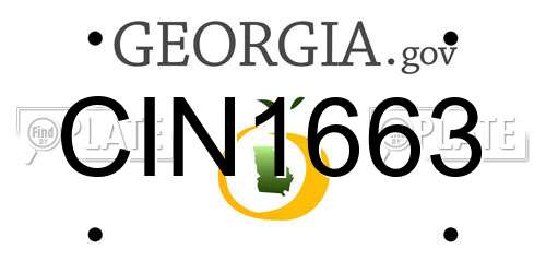CIN1663 Georgia License Plate