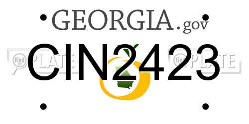 CIN2423 Georgia License Plate