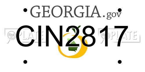 CIN2817 Georgia License Plate