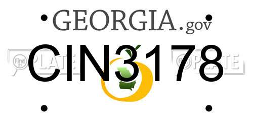 CIN3178 Georgia License Plate
