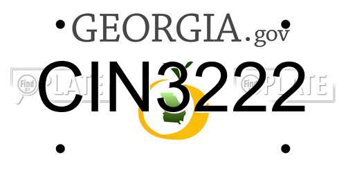 CIN3222 Georgia License Plate