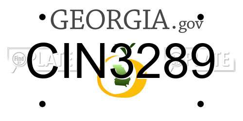 CIN3289 Georgia License Plate