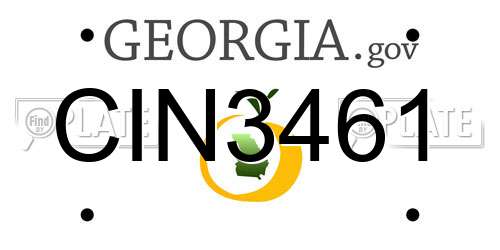 CIN3461 Georgia License Plate