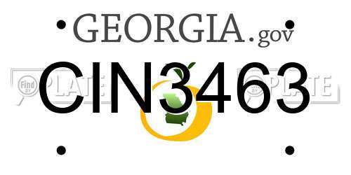 CIN3463 Georgia License Plate