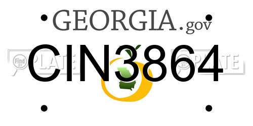 CIN3864 Georgia License Plate