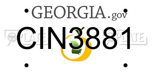 CIN3881 Georgia License Plate
