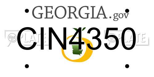 CIN4350 Georgia License Plate