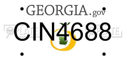 CIN4688 Georgia License Plate