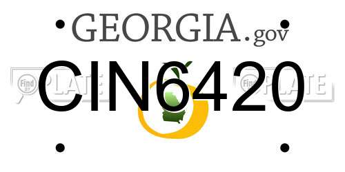 CIN6420 Georgia License Plate