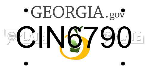 CIN6790 Georgia License Plate