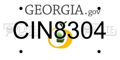CIN8304 Georgia License Plate