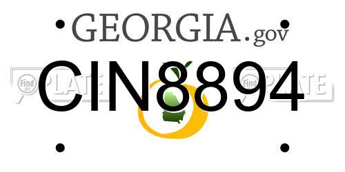 CIN8894 Georgia License Plate