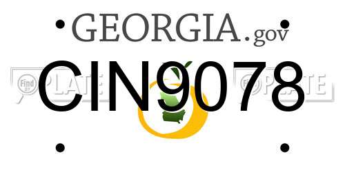 CIN9078 Georgia License Plate
