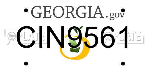 CIN9561 Georgia License Plate