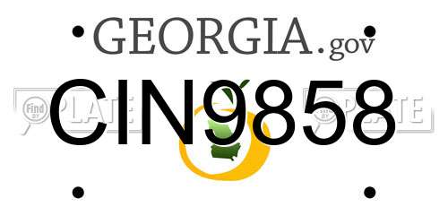 CIN9858 Georgia License Plate