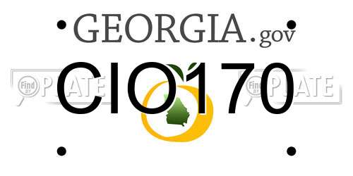 CIO170 Georgia License Plate