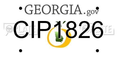 CIP1826 Georgia License Plate