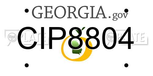 CIP8804 Georgia License Plate