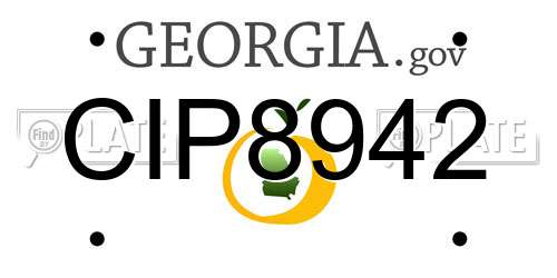 CIP8942 Georgia License Plate