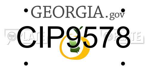 CIP9578 Georgia License Plate