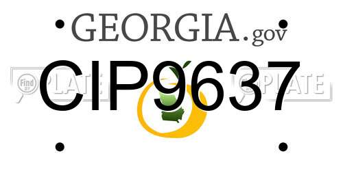 CIP9637 Georgia License Plate