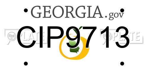 CIP9713 Georgia License Plate