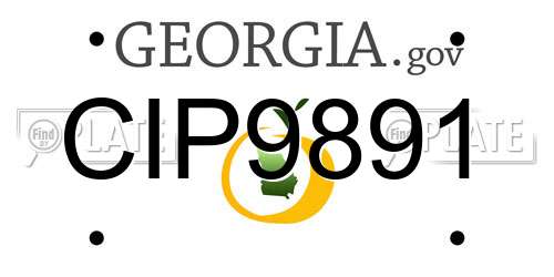 CIP9891 Georgia License Plate