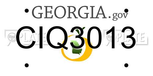 CIQ3013 Georgia License Plate