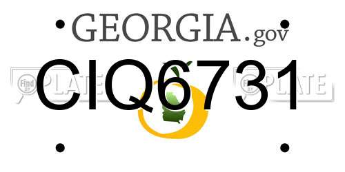 CIQ6731 Georgia License Plate