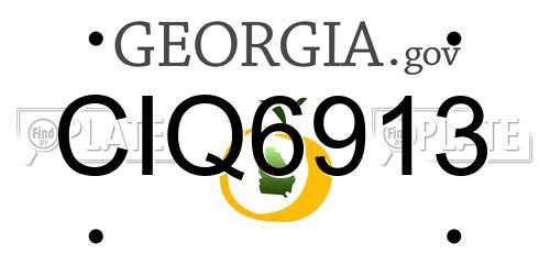 CIQ6913 Georgia License Plate