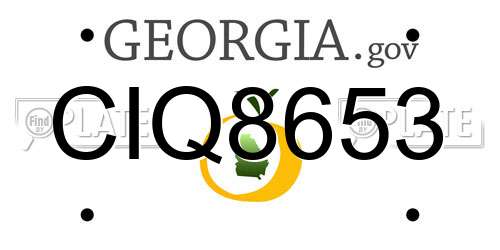 CIQ8653 Georgia License Plate