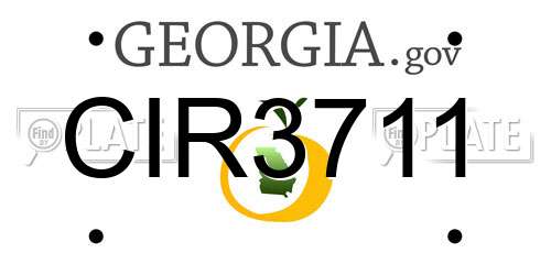 CIR3711 Georgia License Plate