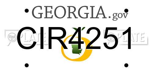 CIR4251 Georgia License Plate