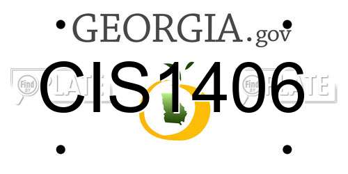 CIS1406 Georgia License Plate