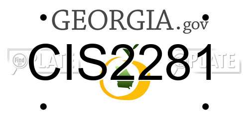 CIS2281 Georgia License Plate