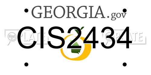 CIS2434 Georgia License Plate