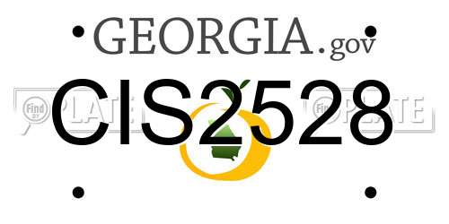 CIS2528 Georgia License Plate