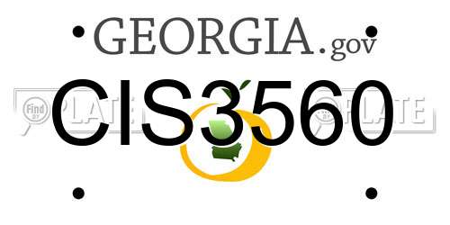 CIS3560 Georgia License Plate