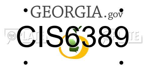 CIS6389 Georgia License Plate