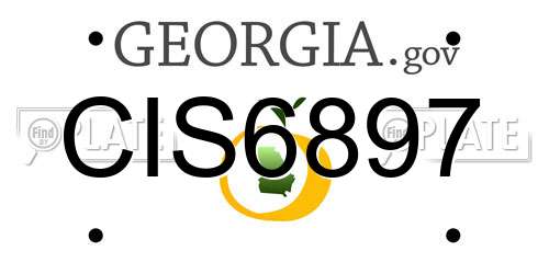 CIS6897 Georgia License Plate