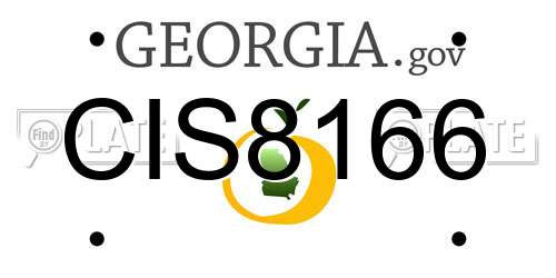 CIS8166 Georgia License Plate