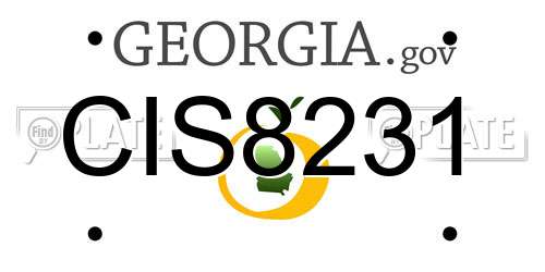 CIS8231 Georgia License Plate