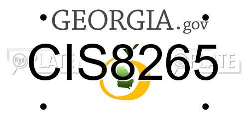 CIS8265 Georgia License Plate
