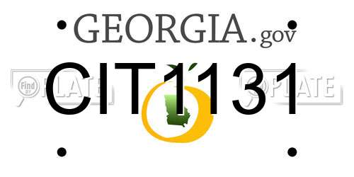 CIT1131 Georgia License Plate