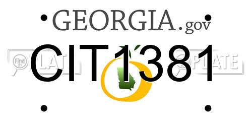 CIT1381 Georgia License Plate