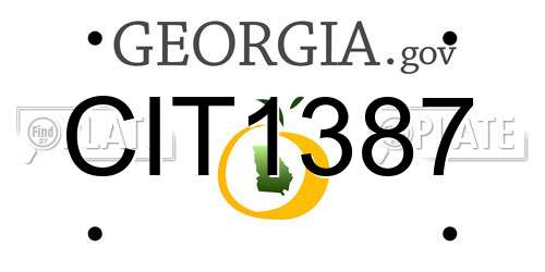 CIT1387 Georgia License Plate