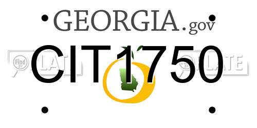 CIT1750 Georgia License Plate