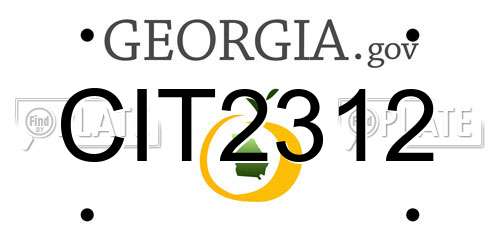 CIT2312 Georgia License Plate